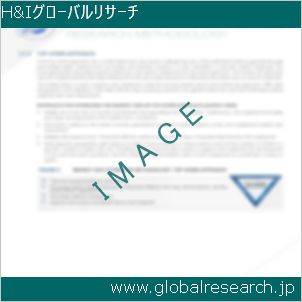 グローバルリサーチ調査レポートのイメージ